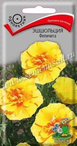 Эшшольция Феличита купить