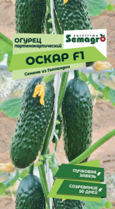 Огурец Оскар купить