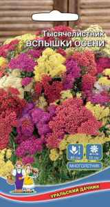 Тысячелистник Вспышки Осени  купить