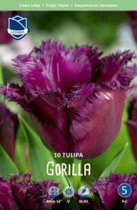 Тюльпан бахромчатый "Gorilla" (1х10шт) купить