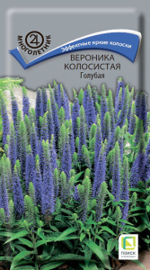 Вероника колосистая Голубая купить