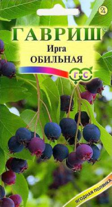 Ирга круглолистная Обильная  купить