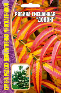 Рябина Додонг смешанная купить