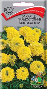 Бархатцы Купид голден еллоу прямостоячие купить