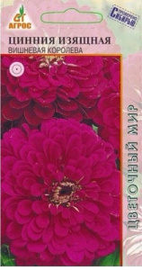 Цинния Изящная Вишневая Королева  купить