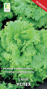 Салат Успех купить
