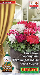 Цикламен Крупноцветковый, смесь сортов купить