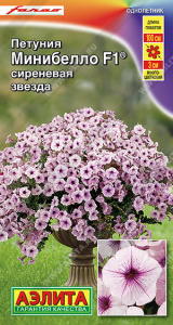 Петуния мини Минибелло F1 сиреневая звезда многоцветковая купить
