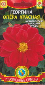 Георгина Опера Красный  купить