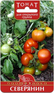 Томат Северянин  купить