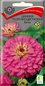 Цинния Мечта георгиноцветковая купить