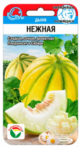 Дыня Нежная купить