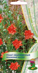 Гранат обыкновенный Оранжевый мастер купить