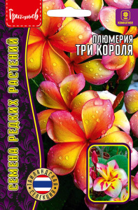 Плюмерия Три Короля купить