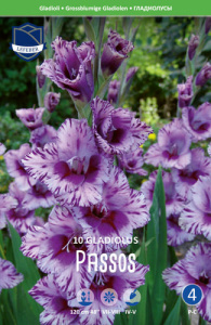 Гладиолус XXL Passos 14/16 купить