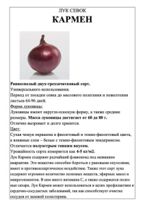 Лук Кармен фото А5 купить