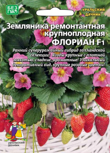 Земляника Флориан F1 ремонтантная купить