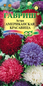 Астра Американская Красавица  купить