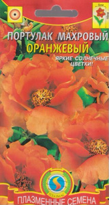 Портулак махровый Оранжевый  купить