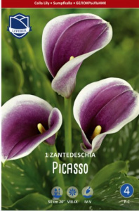 Калла syn.Zantedeschia Picasso /1шт купить