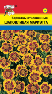 Бархатцы Шаловливая Мариэтта откл. купить