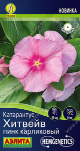 Катарантус Хитвейв пинк карликовый купить