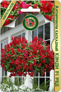 Антирринум каскадный Кэнди F1 Ред купить