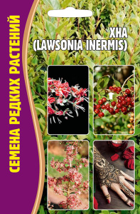 Хна (Lawsonia inermis) купить