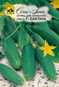Огурец Сантана F1 купить