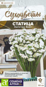 Статица Хипстер Вайт  Сухоцветы