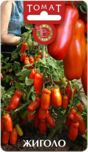 Томат Жиголо  купить