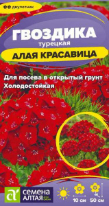 Гвоздика Алая красавица турецкая купить