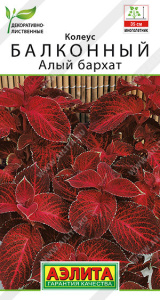 Колеус Алый бархат балконный купить