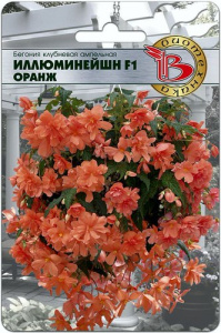 Бегония Иллюминейшн F1 Оранж, клубневая ампельная купить