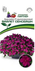 Бальзамин Уоллера F1 Вайлет Сенсейшн  купить