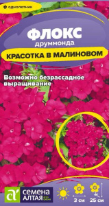 Флокс Красотка в малиновом Друммонда  купить