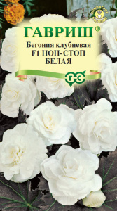 Бегония Нон-Стоп Белая купить