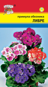 Примула Обконика Либре Микс  купить