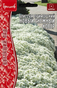 Алиссум Новый Снежный Ковёр приморский  купить