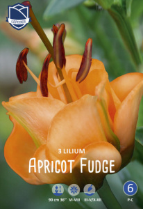 Лилия LA-гибрид Apricot Fudge /3шт купить