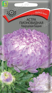 Астра Башня Кварцевая пионовидная купить