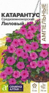 Катарантус Средиземноморский Лиловый  купить