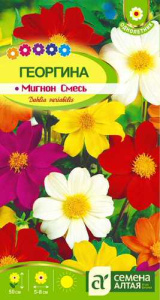 Георгина Мигнон Смесь  купить