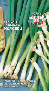 Лук (батун) Молодец купить