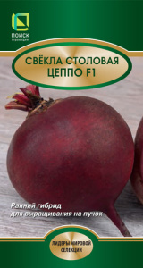 Свекла Цеппо F1  (ЛИ) купить