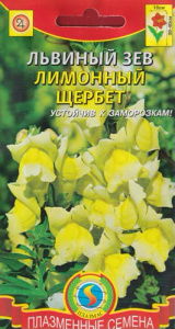 Львиный зев Лимонный щербет  купить