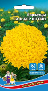 Бархатцы Гильбер Штейн  купить