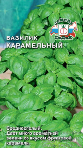 Базилик Карамельный  купить