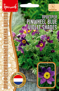 Прострел Pinwheel Blue Violet Shades купить