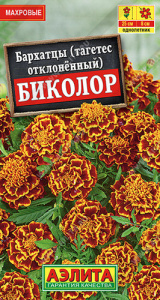 Бархатцы Биколор отклоненные купить